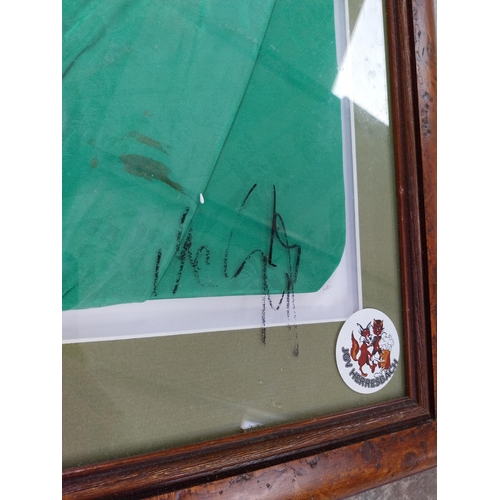 386 - Framed Paul McGrath 1994 World Cup Irish Jersey signed on glass {75 cm H x 83 cm W}.