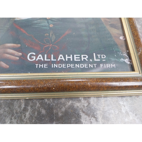 650 - Framed Gallaher's Gold Flake Cigarettes advertising print. {65 cm H x 55 cm W}.