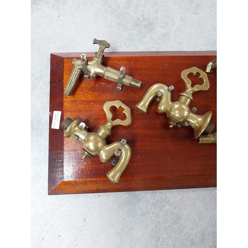 684 - Collection of nine 19th C. brass bar taps mounted on mahogany board. {32 cm H x 82 cm W}.