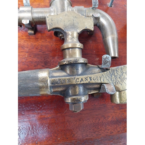 684 - Collection of nine 19th C. brass bar taps mounted on mahogany board. {32 cm H x 82 cm W}.