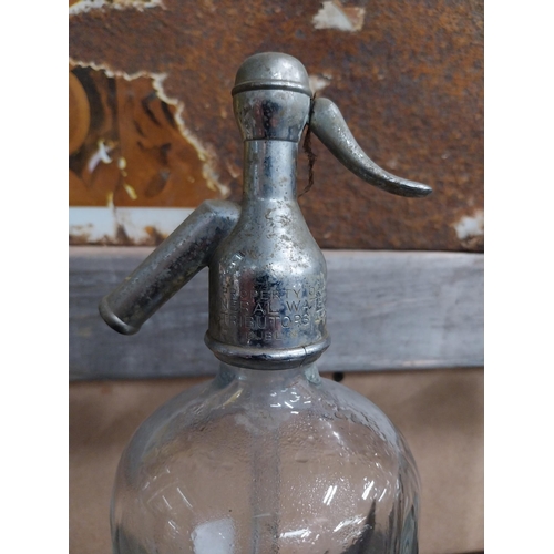 741 - Four Dublin Mineral Water glass siphons - Irish Direct Trading Dublin. {30 cm H x 10 cm Dia.}