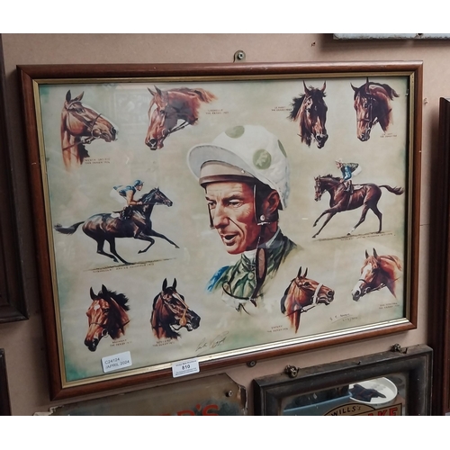 810 - Framed montage of Lester Piggott and his winners. {33 cm H x 57 cm W}.