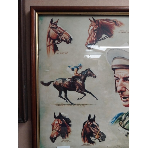 810 - Framed montage of Lester Piggott and his winners. {33 cm H x 57 cm W}.