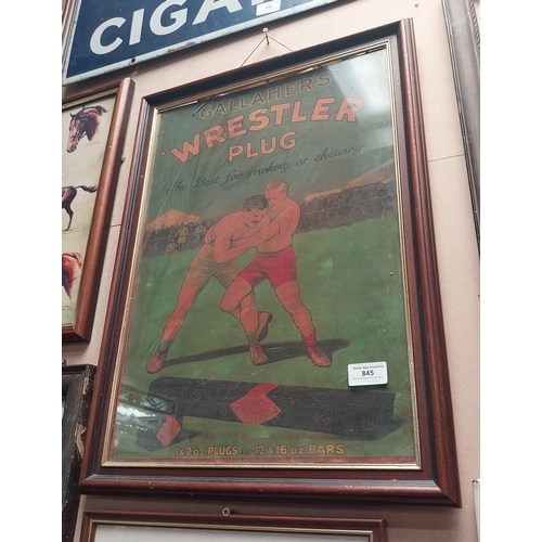 845 - Gallaher's Wrestler Plug framed advertising print. {57 cm H x 41 cm W}.