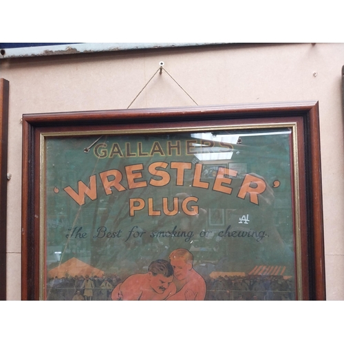 845 - Gallaher's Wrestler Plug framed advertising print. {57 cm H x 41 cm W}.