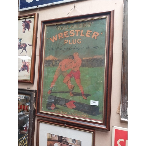 845 - Gallaher's Wrestler Plug framed advertising print. {57 cm H x 41 cm W}.