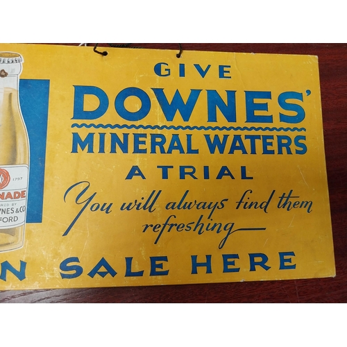 866 - Give Downes Mineral Water a Trial cardboard showcard. {18 cm H x 29 cm W}.