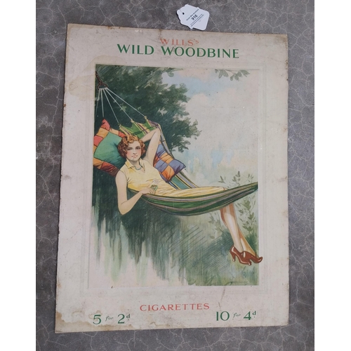 916 - Wills's Wild Woodbine advertising showcard. {50 cm H x 38 cm W}.