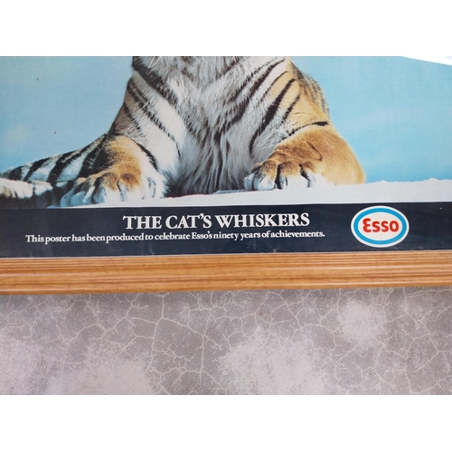 951 - The Cat's Whiskers Esso print. {57 cm H x 78 cm W}.