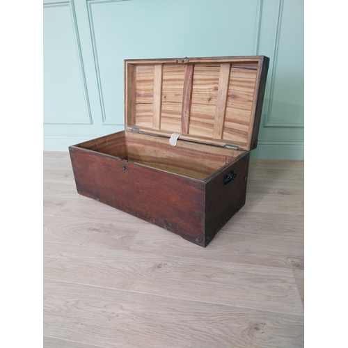 194 - 19th C. camphor wood campaign chest with brass mounts {38 cm H x 88 cm W x 42 cm D}.