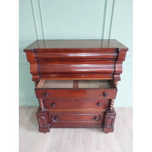 230 - 19th C. mahogany scotch chest of drawers raised on bun feet {150 cm H x 127 cm W x 57 cm D}.