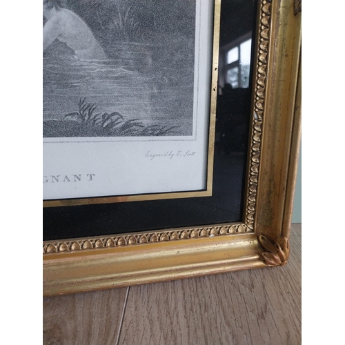289 - Pair of 19th C. engravings mounted in gilt frames {48 cm H x 53 cm W}.