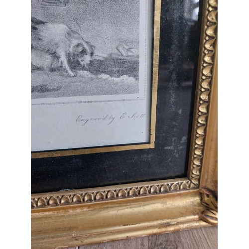 289 - Pair of 19th C. engravings mounted in gilt frames {48 cm H x 53 cm W}.