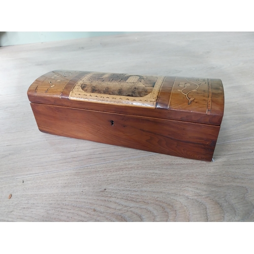 299 - 19th C. Killarney arbutus wood box depicting Muckross Abbey {9 cm H x 28 cm W x 11 cm D}.
