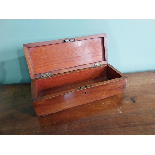 299 - 19th C. Killarney arbutus wood box depicting Muckross Abbey {9 cm H x 28 cm W x 11 cm D}.