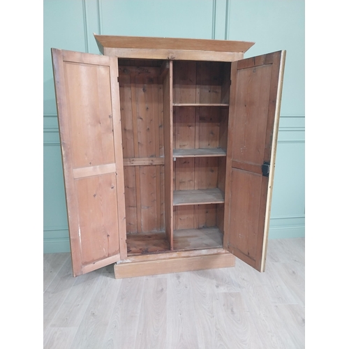 486 - 19th C. scumbled pine two door cupboard with inverted panels, originally from Co Monaghan { 189cm H ... 