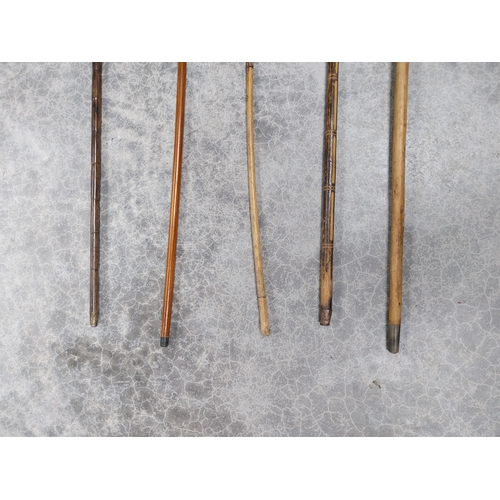 61 - Collection of five early 20th C. walking sticks.