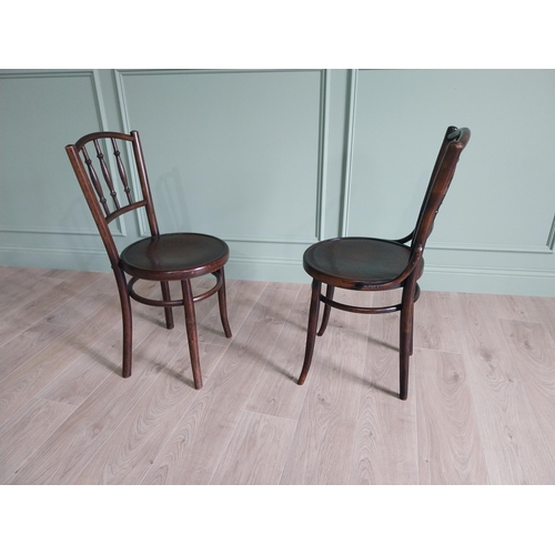 74 - Two Edwardian bentwood chairs {84 cm H x 40 cm W x 40 cm D}.