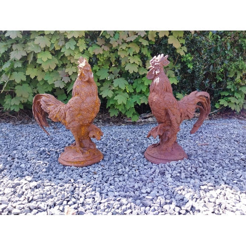 1113 - Pair of cast iron statues of Roosters {43 cm H x 36 cm W x 20 cm D}.