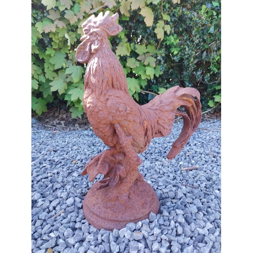 1113 - Pair of cast iron statues of Roosters {43 cm H x 36 cm W x 20 cm D}.