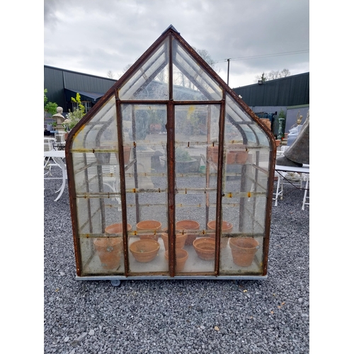 1154 - 19th C. French wrought iron and glass greenhouse {174 cm H x 137 cm W x 73 cm D}.