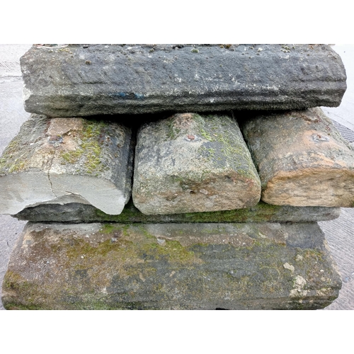 1157 - Collection of nine pieces reclaimed Victorian hogback Yorkshire stone copings {H 16cm x D 36cm x W 8... 