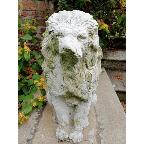 1214 - Pair of composition stone statues of seated Lions {H 52cm x W 26cm x D 34cm }. NOT AVAILABLE TO VIEW... 