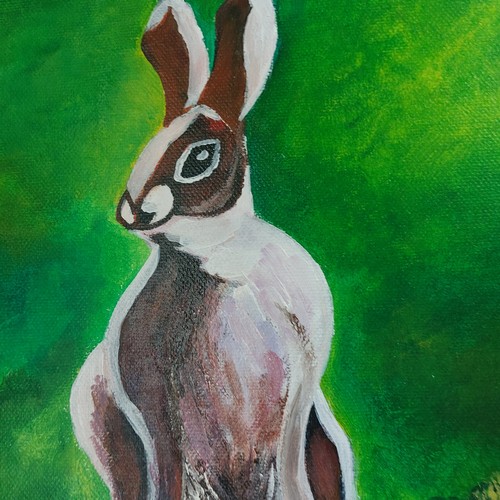 246 - Framed acrylic on board - A Rabbit, signed Kate. {45 cm H x 40 cm W}.