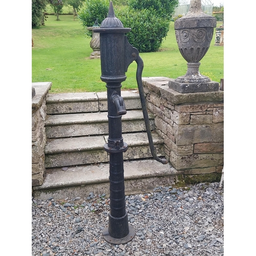 1335 - Good quality 19th C. cast iron pump {156 cm H x 50 cm W x 38 cm D}.