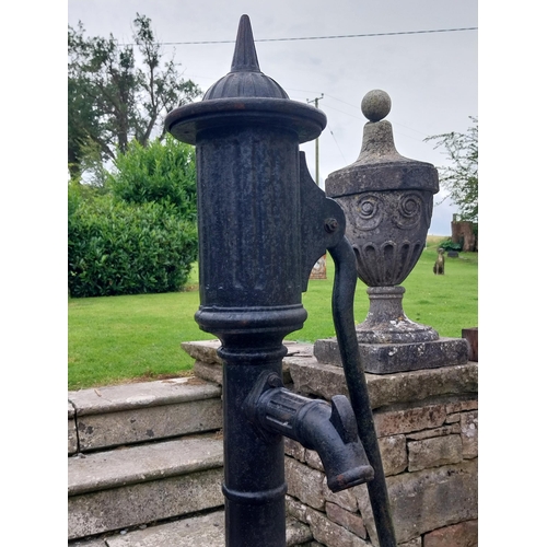 1335 - Good quality 19th C. cast iron pump {156 cm H x 50 cm W x 38 cm D}.