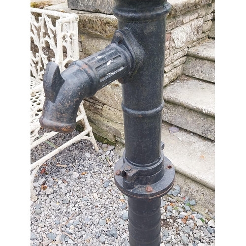 1335 - Good quality 19th C. cast iron pump {156 cm H x 50 cm W x 38 cm D}.