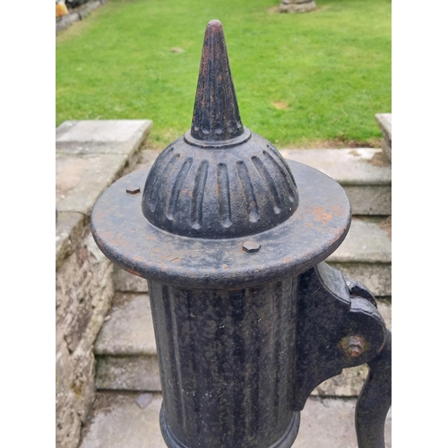 1335 - Good quality 19th C. cast iron pump {156 cm H x 50 cm W x 38 cm D}.