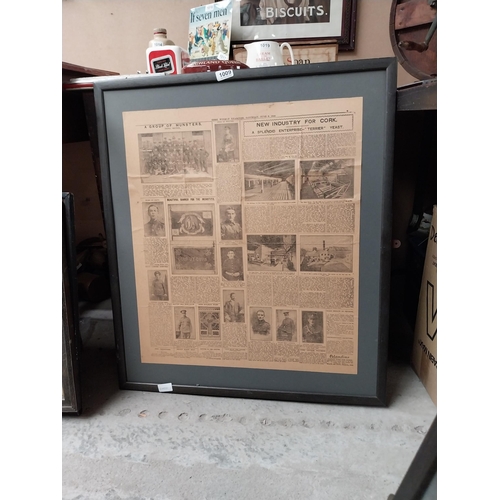 Cork Weekly Examiner newspaper June 3rd 1915 news report on World War I