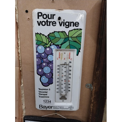 1234 - Bayer Pour Votre Vigne tinplate barometer. {33 cm H x 16 cm W}.