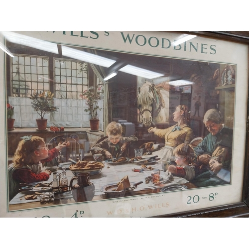 1238 - Original Wills's Woodbine framed showcard in original frame. {32 cm H x 57 cm W].