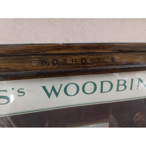 1238 - Original Wills's Woodbine framed showcard in original frame. {32 cm H x 57 cm W].