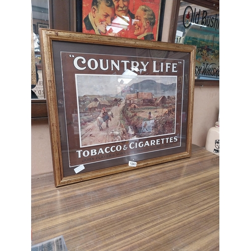 1241 - Player's Country Life Tobacco and Cigarettes framed showcard. {55 cm H x 67 cm W}.