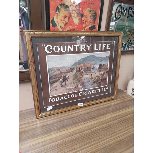 1241 - Player's Country Life Tobacco and Cigarettes framed showcard. {55 cm H x 67 cm W}.