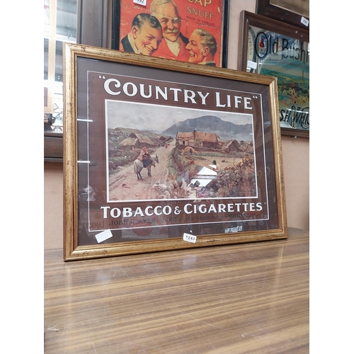 1241 - Player's Country Life Tobacco and Cigarettes framed showcard. {55 cm H x 67 cm W}.