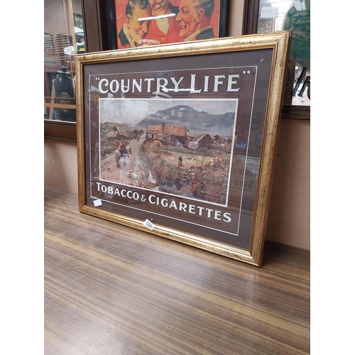 1241 - Player's Country Life Tobacco and Cigarettes framed showcard. {55 cm H x 67 cm W}.