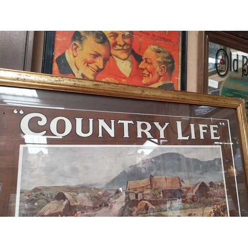 1241 - Player's Country Life Tobacco and Cigarettes framed showcard. {55 cm H x 67 cm W}.