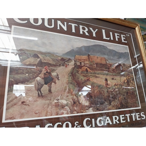 1241 - Player's Country Life Tobacco and Cigarettes framed showcard. {55 cm H x 67 cm W}.