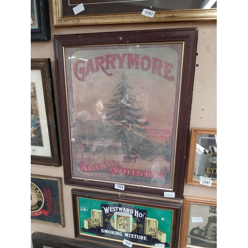 1242 - Garrymore Irish Whiskey framed advertising print {58 cm H x 48 cm W}.