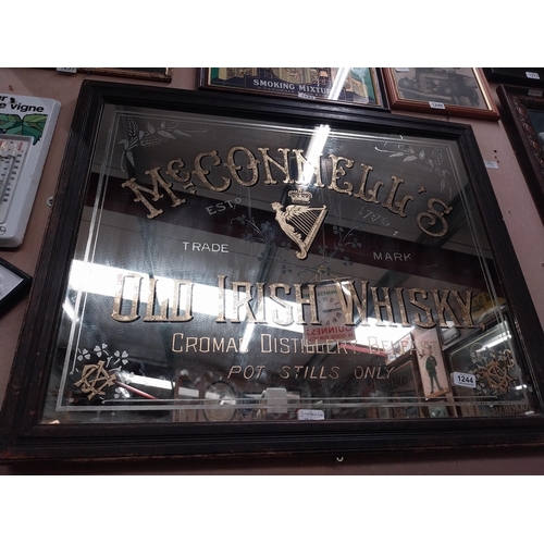 1244 - Rare 19th McConnell's Old Irish Whisky Cromac Distillery Belfast's advertising mirror in original fr... 