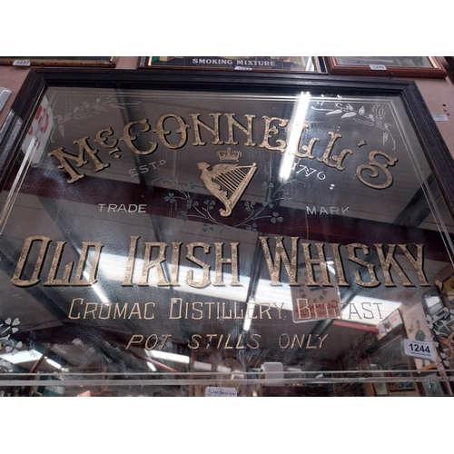 1244 - Rare 19th McConnell's Old Irish Whisky Cromac Distillery Belfast's advertising mirror in original fr... 