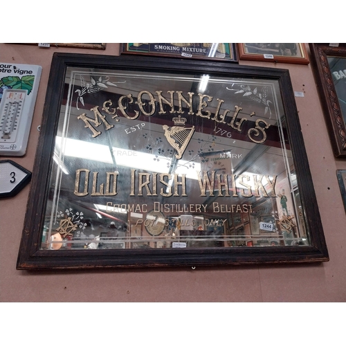 1244 - Rare 19th McConnell's Old Irish Whisky Cromac Distillery Belfast's advertising mirror in original fr... 