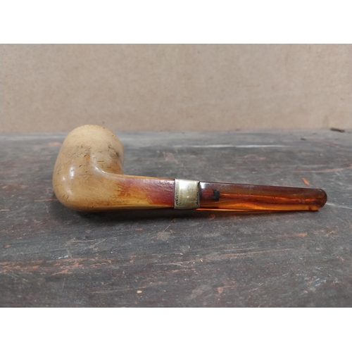 1256 - Early 20th C. pipe in box. {14 cm L}.