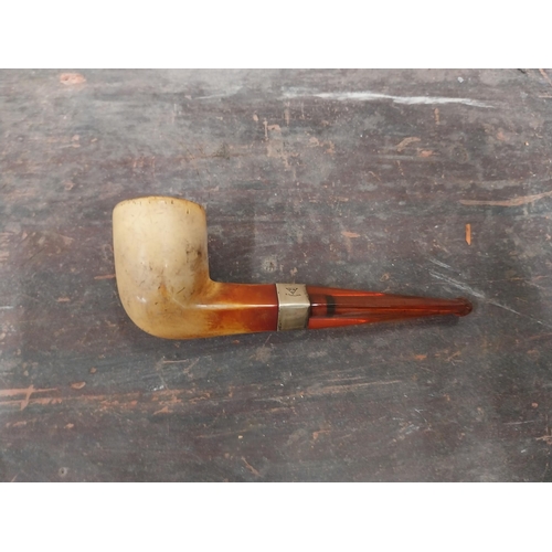 1256 - Early 20th C. pipe in box. {14 cm L}.