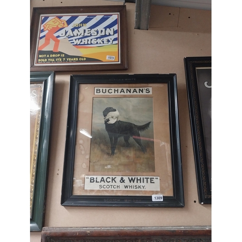 1309 - Buchanan's Black and White Scotch Whiskey showcard in original frame. {52 cm H x 44 cm W}.