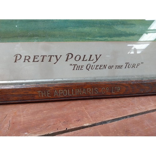 178 - Rare Apollinaris the Queen of Table Waters Pretty Polly advertising showcard in original stamped fra... 